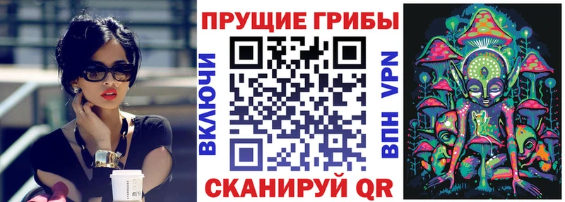 как найти закладки  Канаш  Галлюциногенные грибы GOLDEN TEACHER 